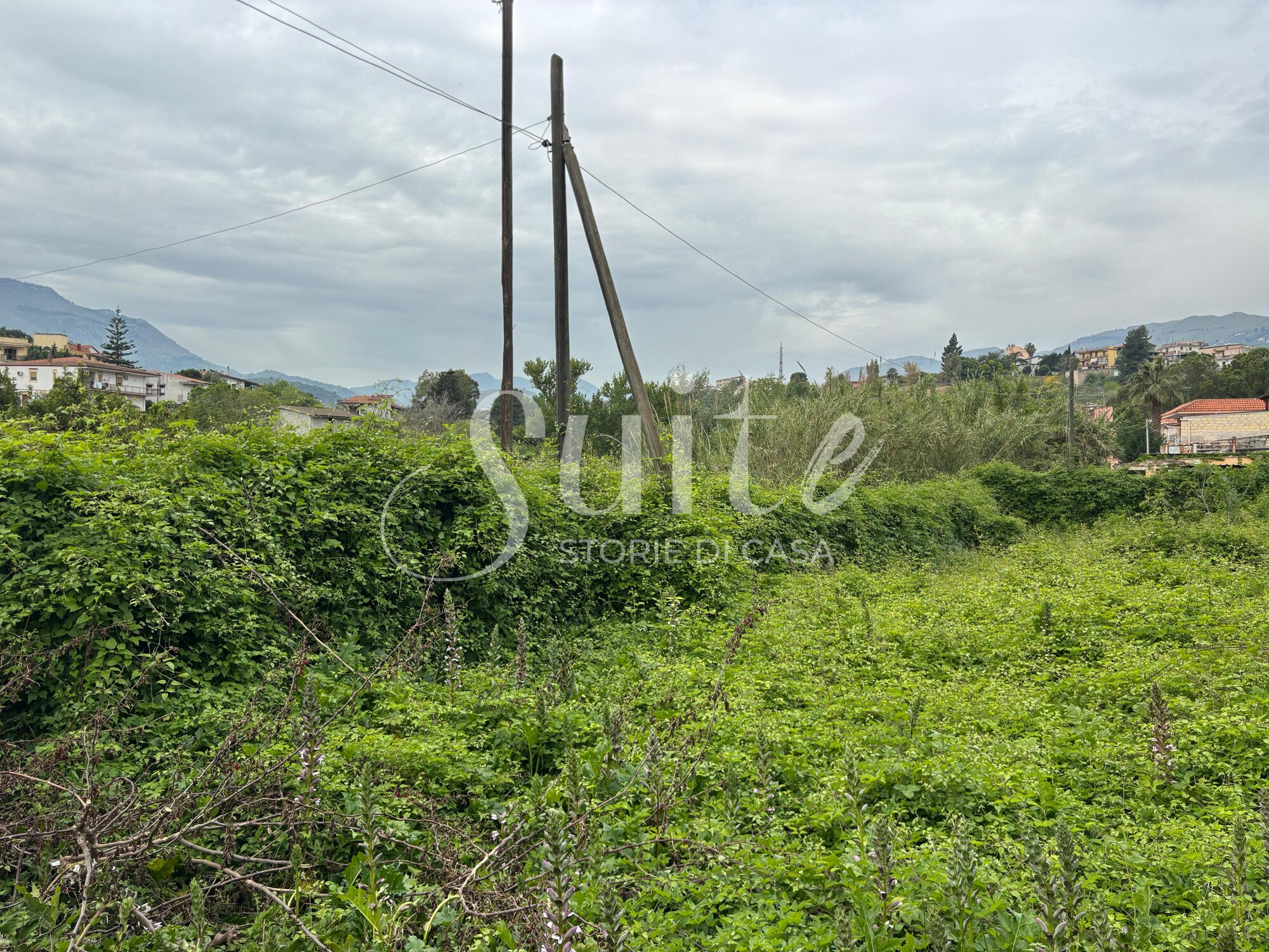 Featured image 3
