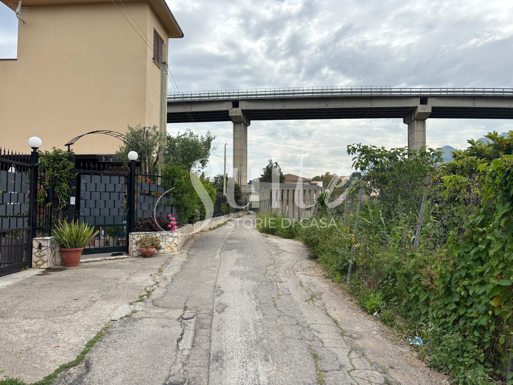 Featured image 4