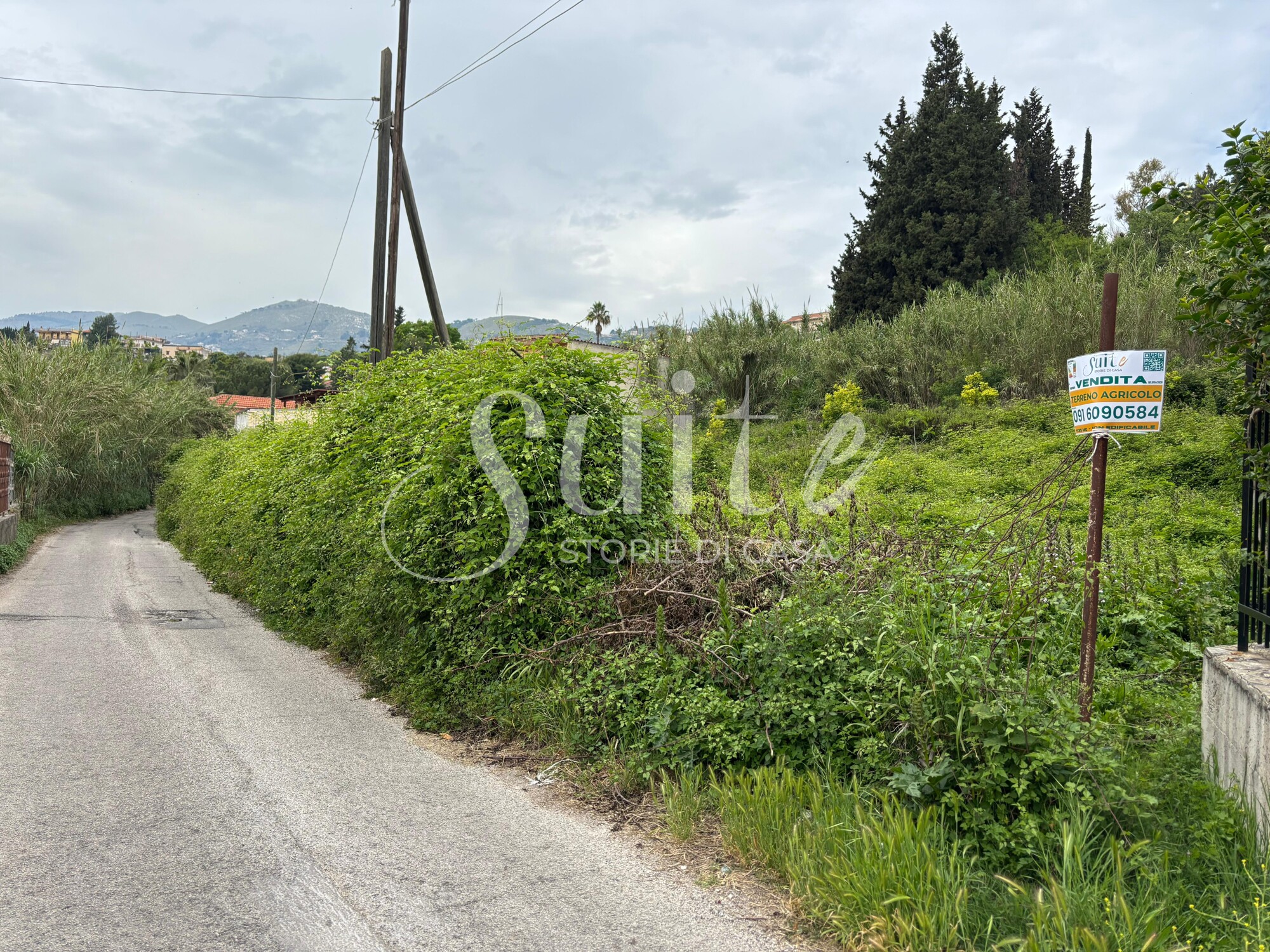 Featured image 2